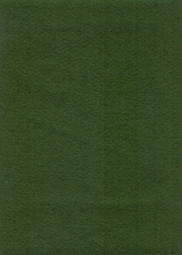 Zielony lesny kf32.jpg