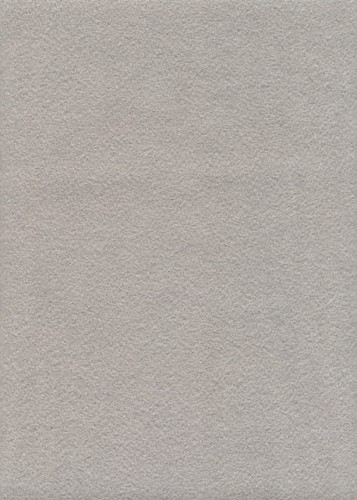 Szary kf26.jpg