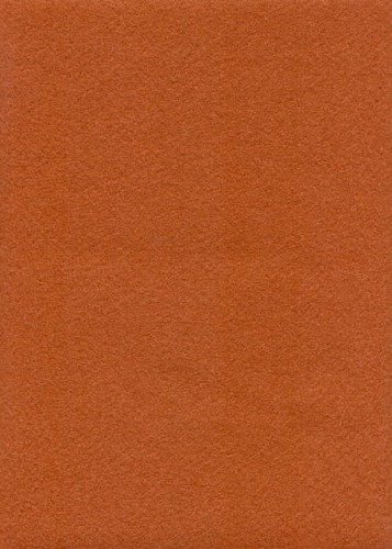 Brazowy jasny kf30.jpg